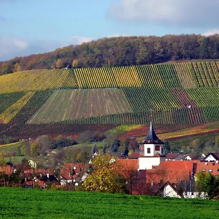 Landpension Wachtkopf Vaihingen an der Enz Exterior foto