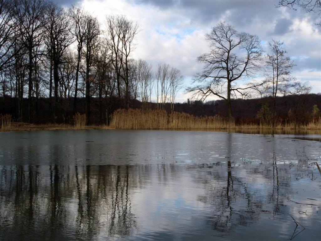 Landpension Wachtkopf Apartment *