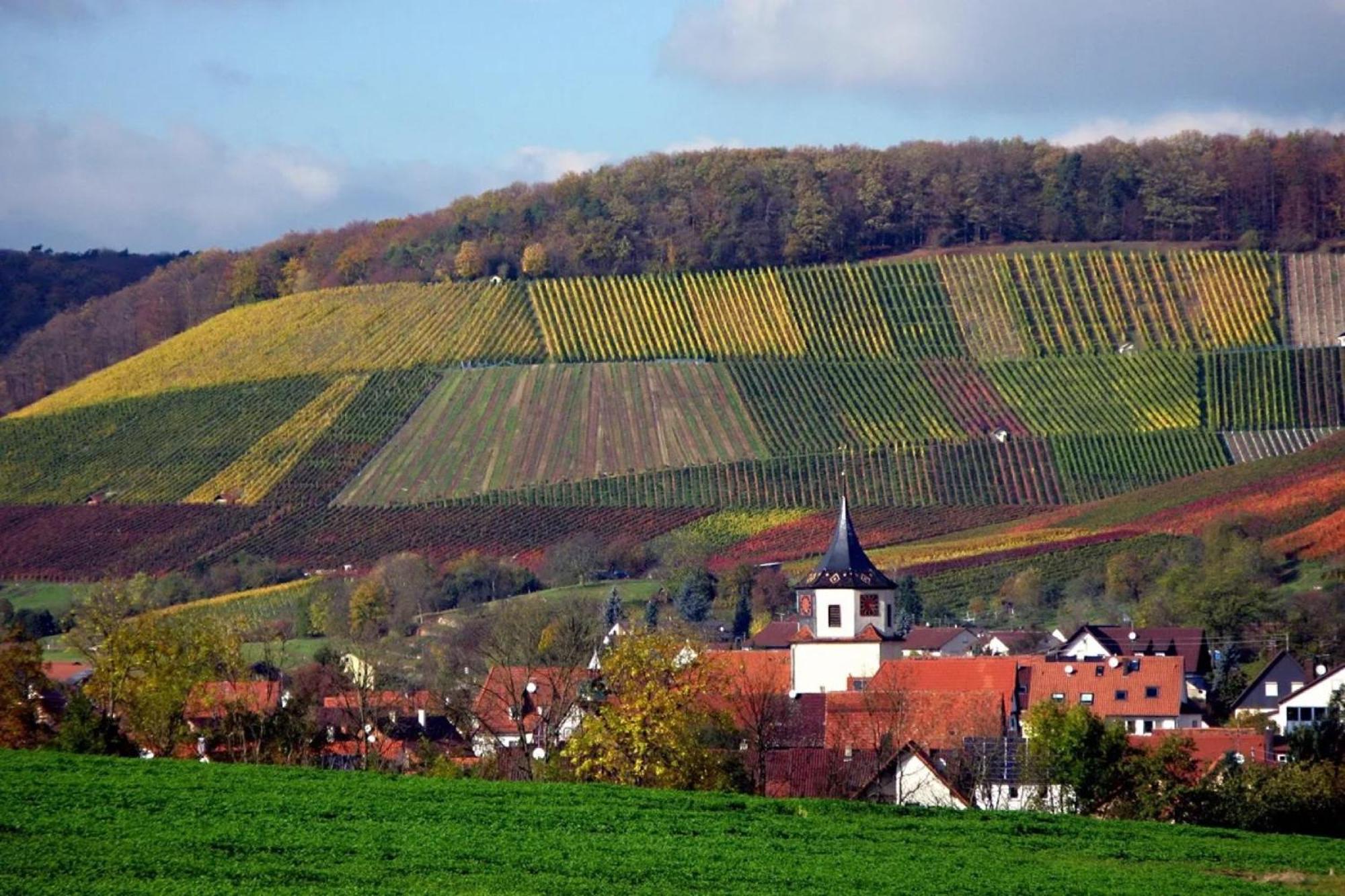 Landpension Wachtkopf *